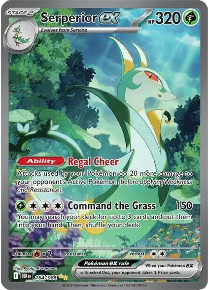 Serperior ex 164/086 SIR Black Bolt Pokémon Card